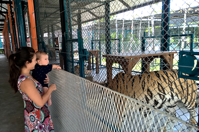 Tiger-Park-Pattaya